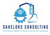 SAHELORS CONSULTING